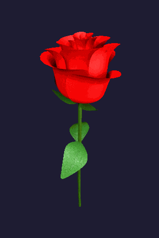 rose